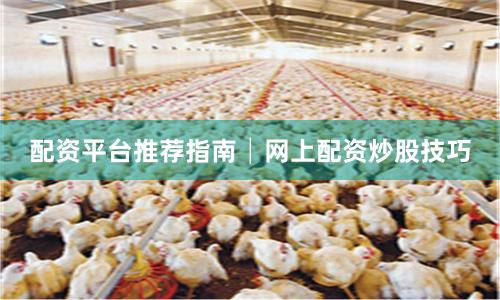 配资平台推荐指南│网上配资炒股技巧