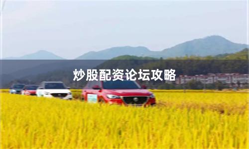 炒股配资论坛攻略