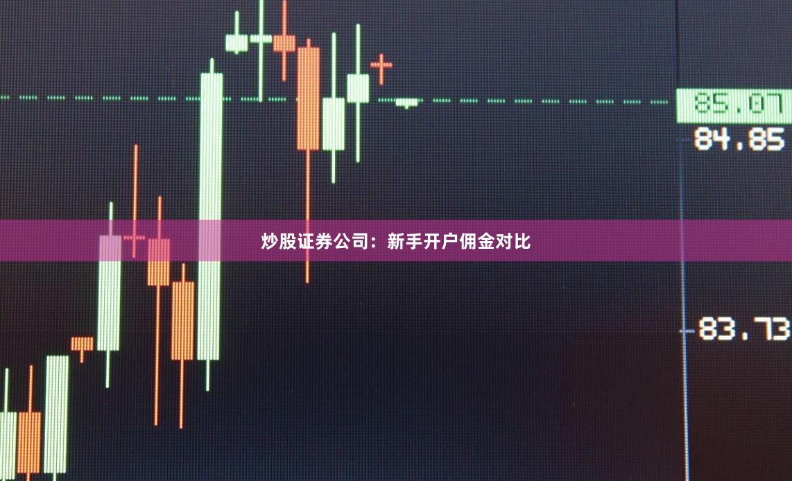 炒股证券公司：新手开户佣金对比